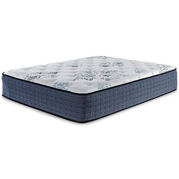 Bonita Springs Firm Queen Mattress