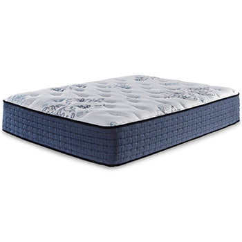 Bonita Springs Plush Queen Mattress